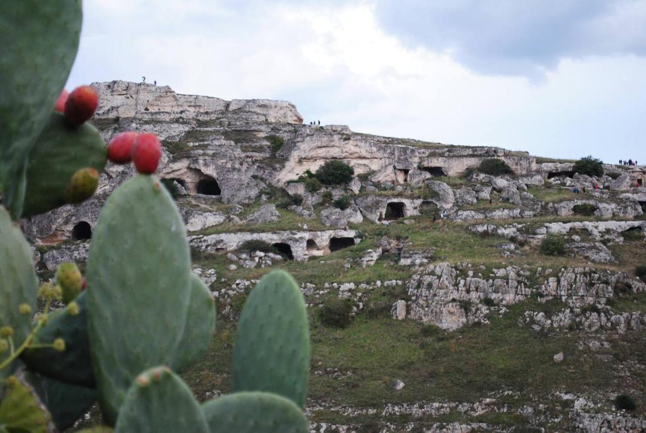 Casa Vacanze Domus Centrale Matera Zewnętrze zdjęcie